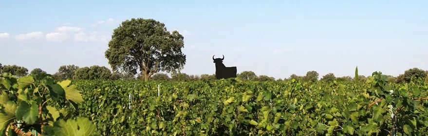 Bodegas Osborne en Malpica de Tajo