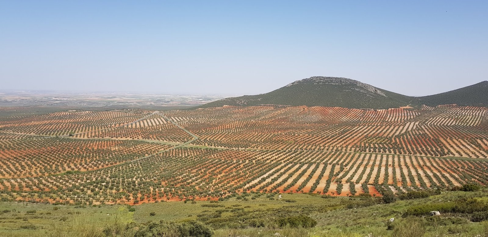 Olivares de Toledo