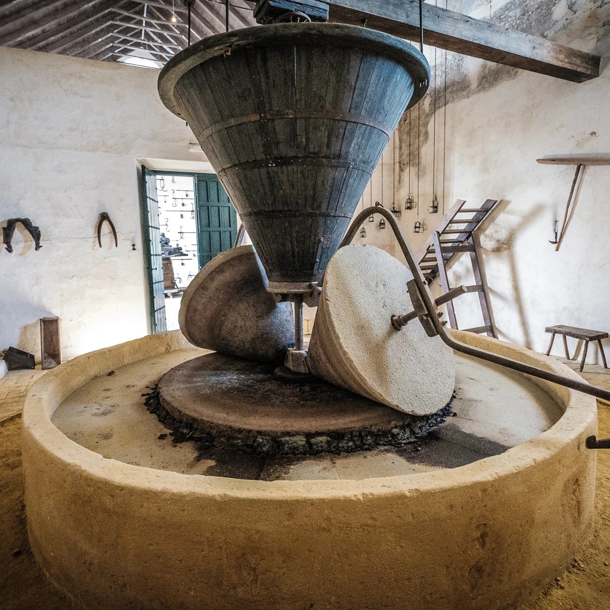 Tradición de elaboración de aceite